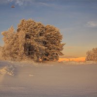 полнолуние... :: Владимир Чикота 