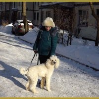 Гуляет девушка с собакой  в белом январе! :: Нина Андронова