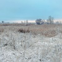 Когда наступил рассвет.. :: Юрий Стародубцев