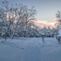 ... :: Евгений(Жора) Житников