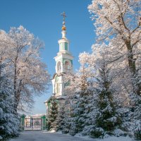 Январское утро ...... :: Александр Селезнев