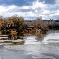 р.Днепр в середине января, снега на берегах нет, льда в воде нет, температуры воздуха+5° :: Милешкин Владимир Алексеевич 