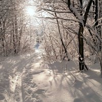 Свет января уже сильнее... :: Андрей Заломленков