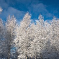 *** :: Владимир Безбородов