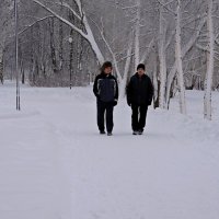 Зимние прогулки в парке... :: Мария Васильева