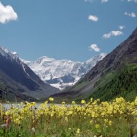 Белуха... :: владимир 