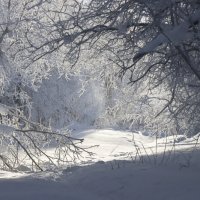 Серебряный дождь :: Галина Ильясова