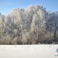 Седой суровый январь :: Татьяна Лютаева