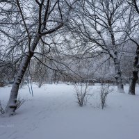 Снег во дворе :: Александр Синдерёв