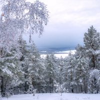 В морозной тишине :: Наталья Димова