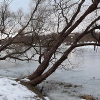 Царское Село. Отдельный парк :: Наталья Герасимова