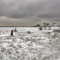 Трудной дорогой в "дюнах" :: Alexandеr P