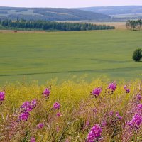 Сибирские дали. :: nadyasilyuk Вознюк