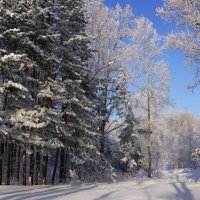 Зимушка :: Наталия Григорьева