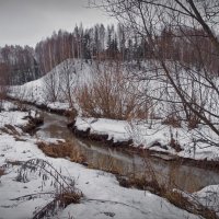 "Весна" в последний день января"© :: Владимир Макаров