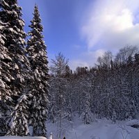 На охоте :: Павел Трунцев