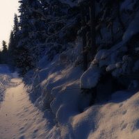 В лучах заходящего солнца :: Павел Трунцев