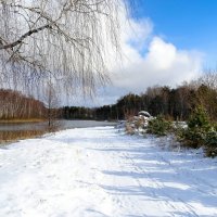 Февраль в деревне. :: Милешкин Владимир Алексеевич 