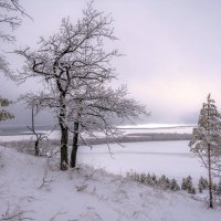 Январским днем :: Наталья Димова