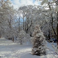 Ростовская зима :: Нина Бутко