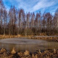 Февральское, зимние утро :) 3 :: Андрей Дворников