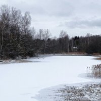 Пасмурный февральский день (репортаж из поездок по области) :: Милешкин Владимир Алексеевич 