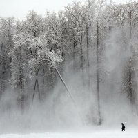 февраль :: Михаил Бибичков