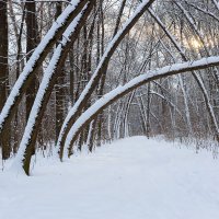 Зимний коридор :: Александр Синдерёв