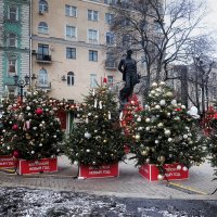 Главный китайский праздник проходит в рамках проекта «Зима в Москве». :: Татьяна Помогалова