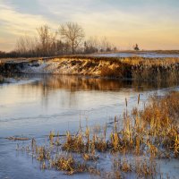 В теплых лучах вечернего солнца :: Валерий VRN