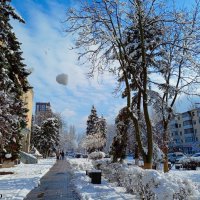 Зима в Ростове-на-Дону :: Нина Бутко