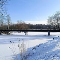 Февральские зарисовки... :: Мария Васильева