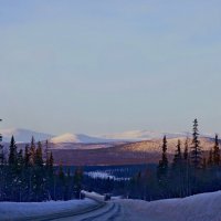 Впереди сопки :: Сергей Швечков