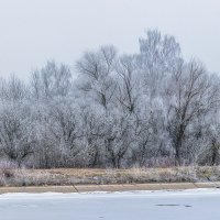 Февраль на том берегу. :: Анатолий. Chesnavik.