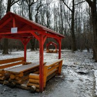 Как зиму ни снимай, получается ноябрь :: Андрей Лукьянов