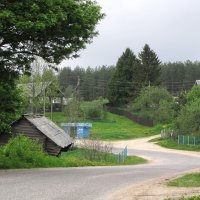 Деревня Нурмолицы :: Александр Ильчевский 