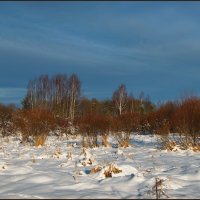 В феврале :: lady v.ekaterina