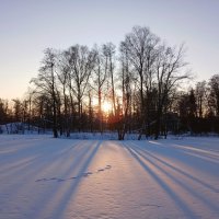 Вечернее солнце. :: Лия ☼