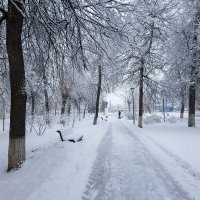 Дорожка в сквере :: Александр Синдерёв