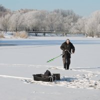 Заботы рыболова. :: Мария Васильева