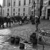 Обеденный перерыв. :: Владимир Ефимов 