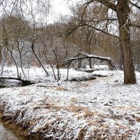 В городском парке. :: Милешкин Владимир Алексеевич 