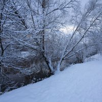 На берегу реки зимой :: Александр Синдерёв