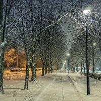 В городе зима :: Игорь Сарапулов