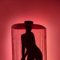 Силуэт девушки :: Лилия Селезнева