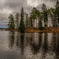 16.11.2024 Парк Монрепо в Выборге :: Андрей Дворников