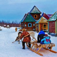 Покатаемся на оленях! :: Владимир 