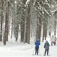 На лыжной прогулке :: Виктор 