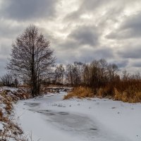 Наконец то зима. :: Андрей Дворников