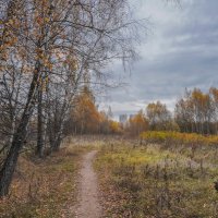 Московская осень... :: Владимир Жданов